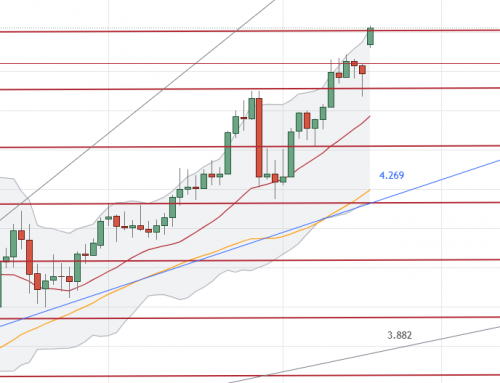 Die Bären sind hungrig