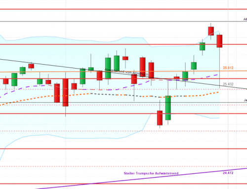 Risiken und Überraschungen